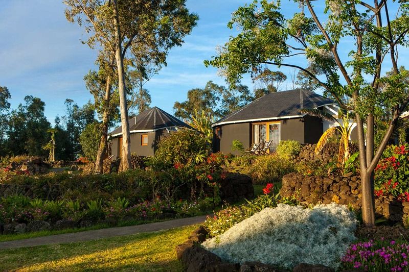 Altiplanico Rapa Nui Hotel Hanga Roa Bagian luar foto