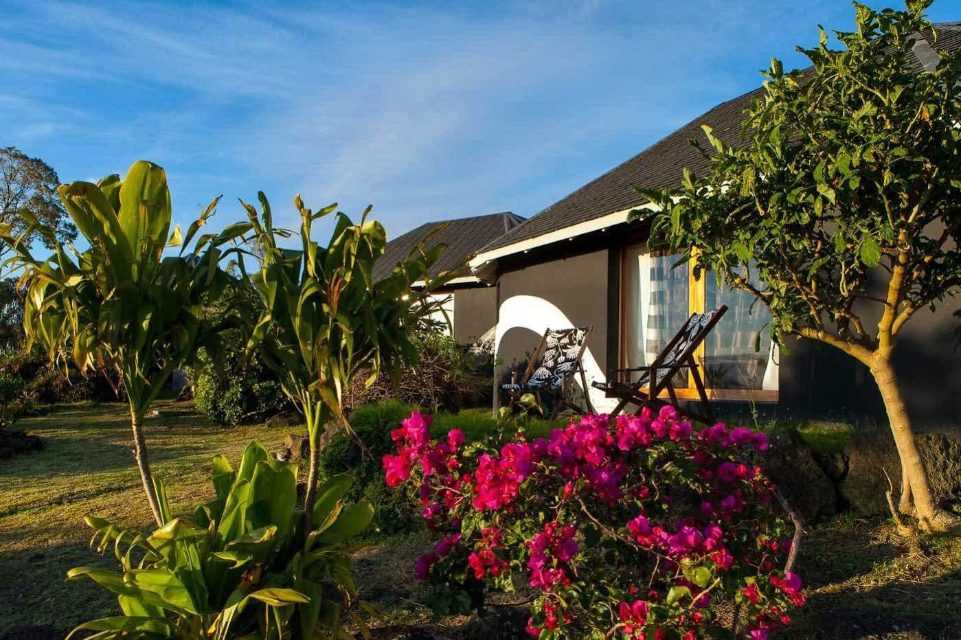 Altiplanico Rapa Nui Hotel Hanga Roa Bagian luar foto